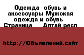 Одежда, обувь и аксессуары Мужская одежда и обувь - Страница 7 . Алтай респ.